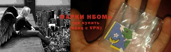 гидра Вязьма