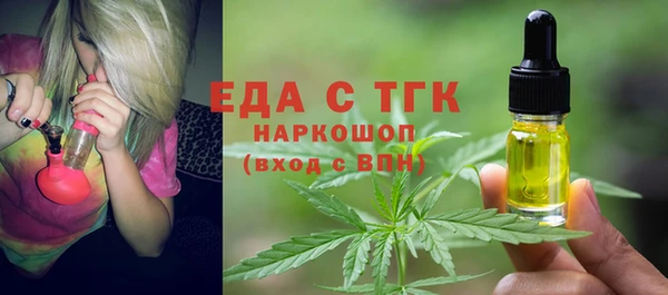 гидра Вязьма