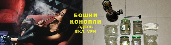ECSTASY Горняк