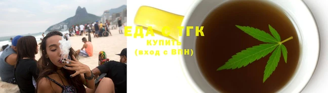 гидра Вязьма