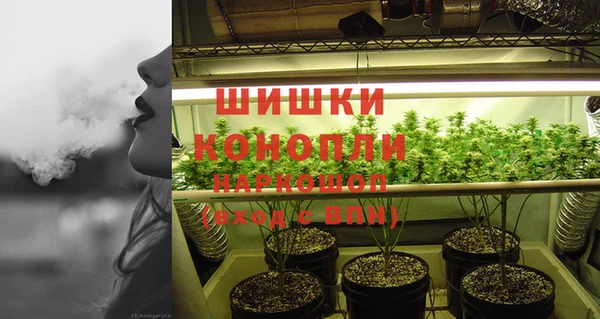 гидра Вязьма