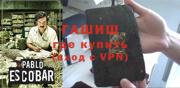 гидра Вязьма