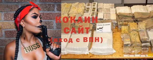гидра Вязьма