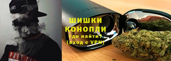 гидра Вязьма