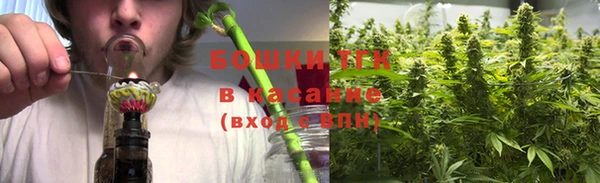 spice Вяземский