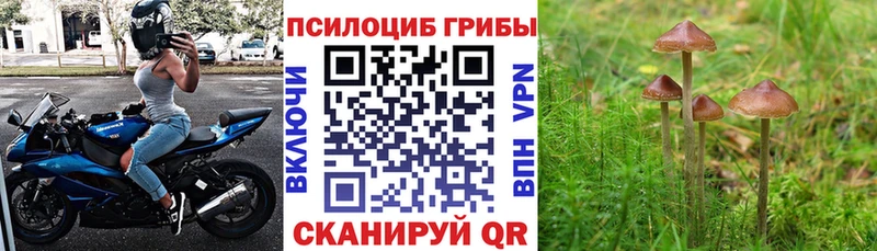 Купить закладки Лукоянов Псилоцибиновые грибы прущие грибы